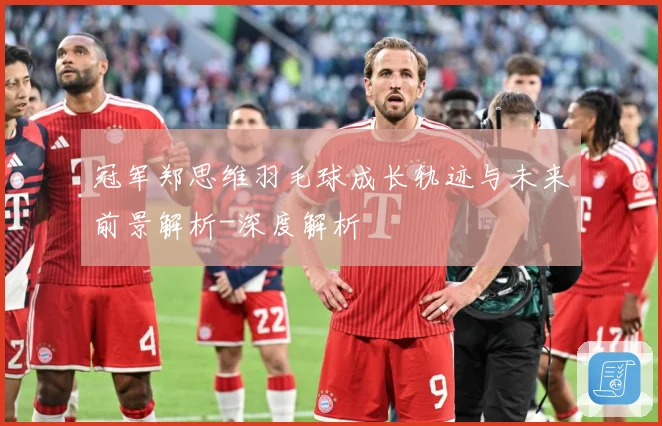 冠军郑思维羽毛球成长轨迹与未来前景解析-深度解析